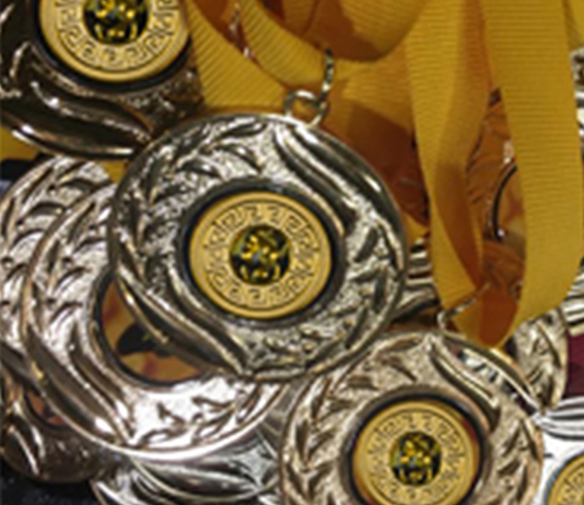 MEDALLAS 31
